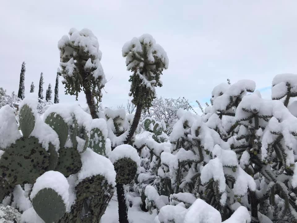 Snow in ÃÛèÖÖ±²¥